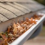 rain gutter full with autumn leaves