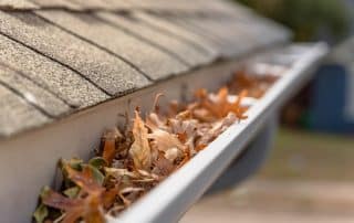 rain gutter full with autumn leaves