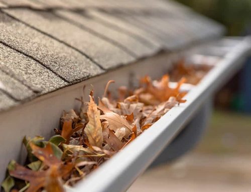 Why You Need Gutter Screens Now