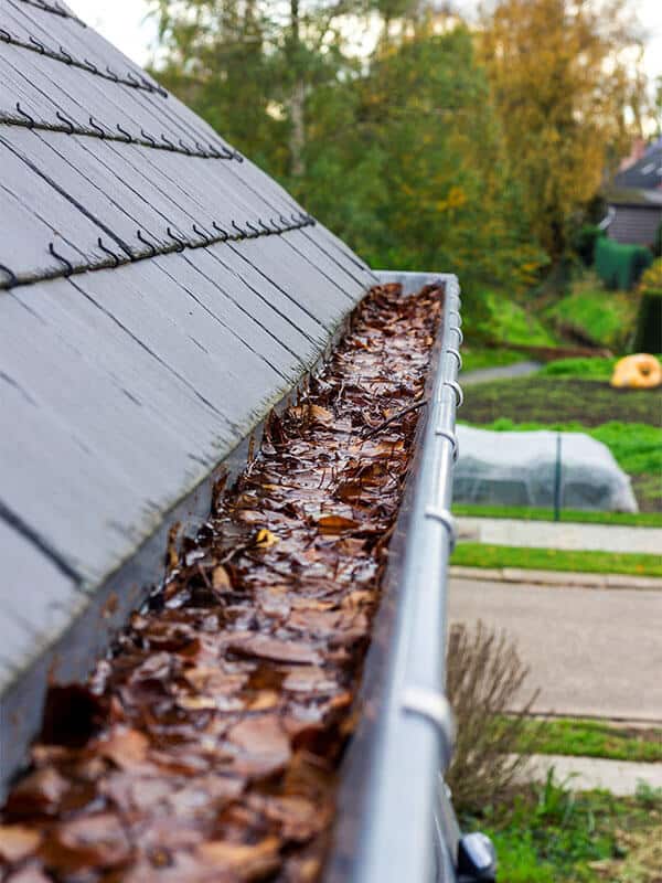 copper rain gutter full of leaves no gutter screen protection