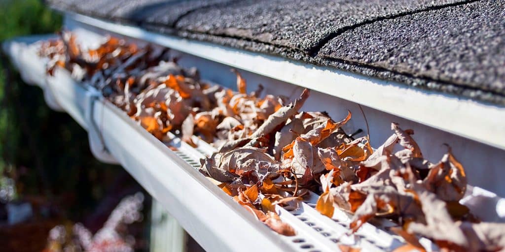 rain gutter screen protection from fallen leaves and debris