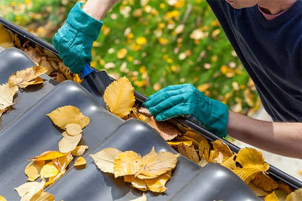 worker cleaning leaves from blocked rain gutters